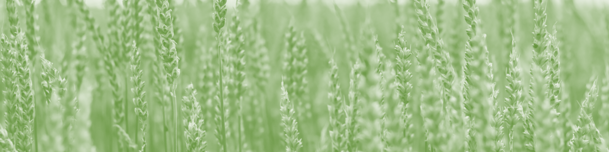 Group cover image